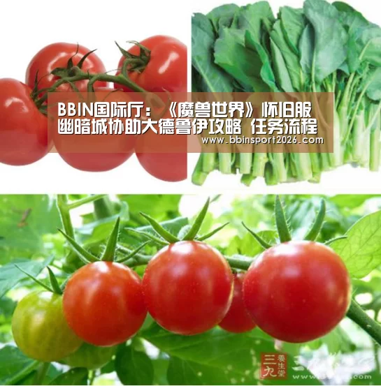 BBIN国际厅:《魔兽世界》怀旧服幽暗城协助大德鲁伊攻略 任务流程介绍(图1) BBIN国际厅