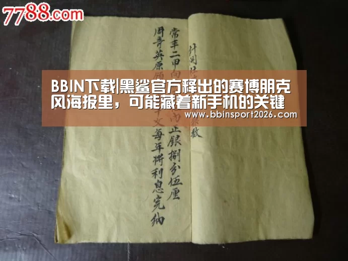 BBIN下载|黑鲨官方释出的赛博朋克风海报里,可能藏着新手机的关键情报(图1) BBIN下载