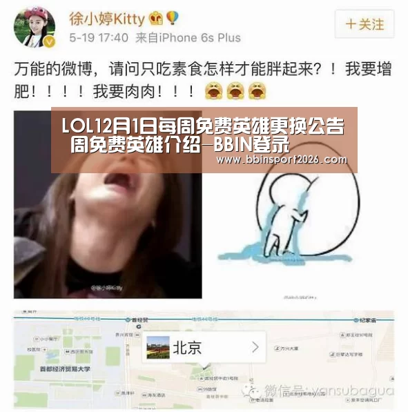 BBIN下载